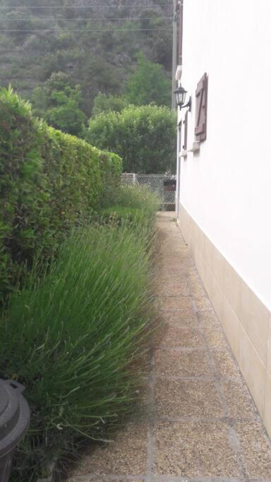 הוילה ויילפרנץ'-דה-קונפלן Jolie Maison Avec Jardin מראה חיצוני תמונה
